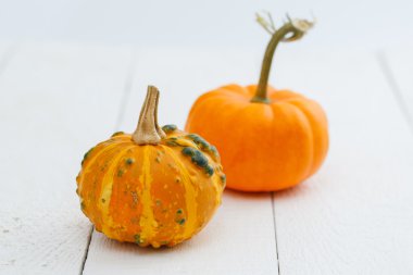 Tablo renkli kabaklar.