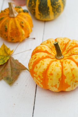 renkli kabaklar ve akçaağaç yaprağı.