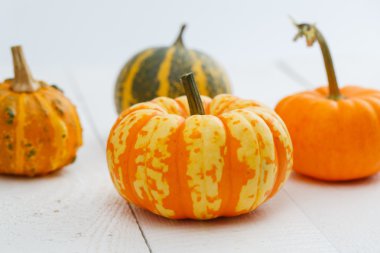 Tablo renkli kabaklar.