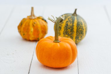 Tablo renkli kabaklar.