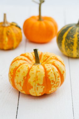 Tablo renkli kabaklar.