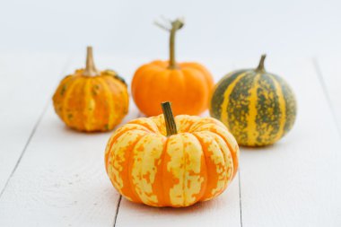 Tablo renkli kabaklar.