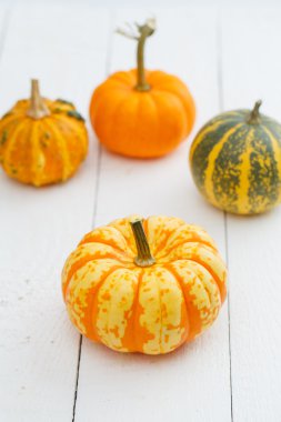 Tablo renkli kabaklar.