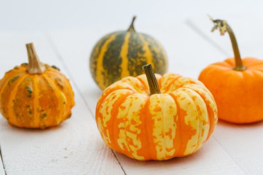 Tablo renkli kabaklar.