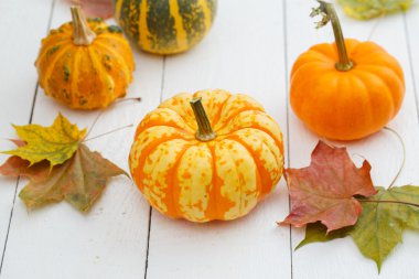 renkli kabaklar ve akçaağaç yaprağı.