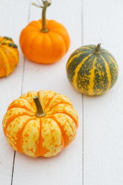 Tablo renkli kabaklar.