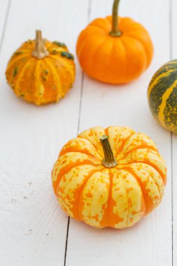 Tablo renkli kabaklar.