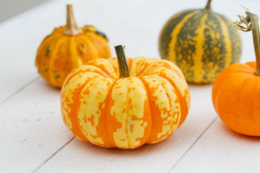 Tablo renkli kabaklar.