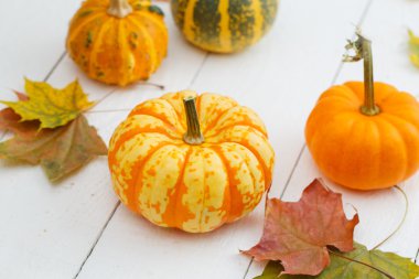 renkli kabaklar ve akçaağaç yaprağı.