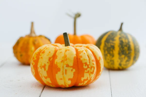 Colorful pumpkins on the table. — Stock Photo, Image