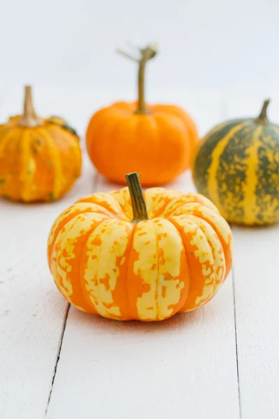 Calabazas coloridas en la mesa . —  Fotos de Stock