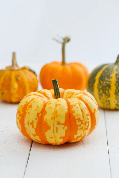 Calabazas coloridas en la mesa . —  Fotos de Stock