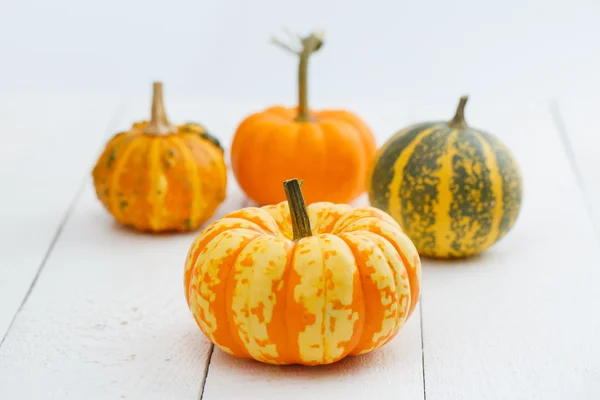 Citrouilles colorées sur la table . — Photo