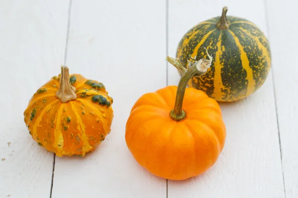 Colorful pumpkins on the table. Royalty Free Stock Images