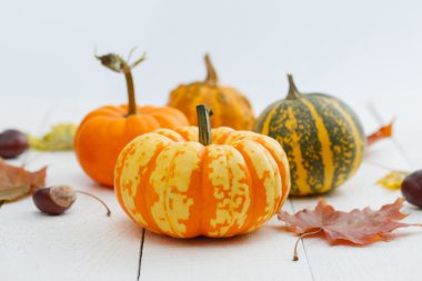 Renkli pumpkins, kestane ve akçaağaç yaprakları.