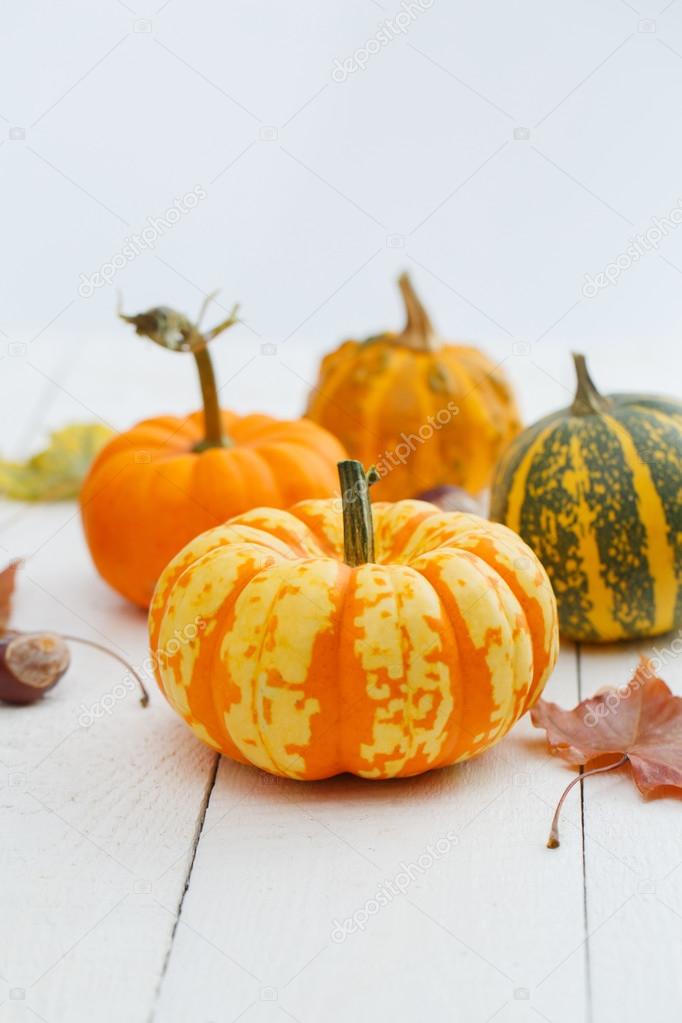 Colorful pumpkins and maple leaves.