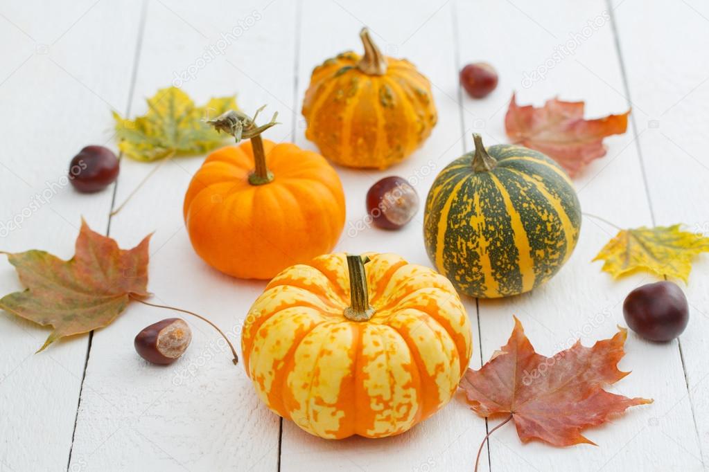 Colorful pumpkins, chestnuts and maple leaves.