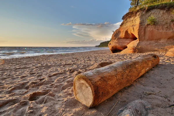 Spiaggia di sabbia e mare in Lettonia in estate . — Foto Stock