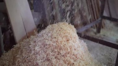 Kalın planlama makinesi. Fabrika atölyesinde ahşap ürünleri için sanayi hattı..