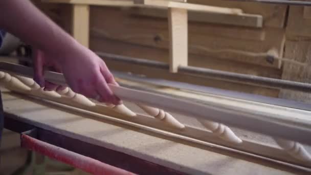 Pabrik perabotan, produksi kayu produksi.Membuat mebel buatan tangan. — Stok Video
