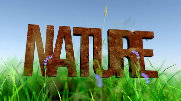 Wooden Text Nature Grass — Stock Photo, Image