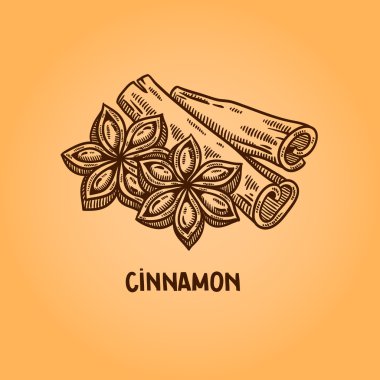 doğal baharat. derleme vektörel çizimler. mutfak otlar, baharatlar. Vintage tarzı. elle çizilmiş.
