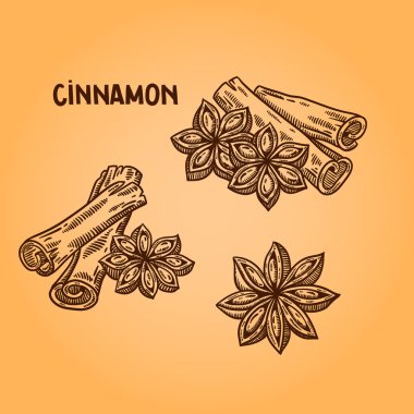 doğal baharat. derleme vektörel çizimler. mutfak otlar, baharatlar. Vintage tarzı. elle çizilmiş.