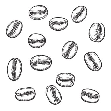 Kahve çekirdekleri kümesi. Retro tarzı. Anahat. Beyaz arka plan üzerinde izole.