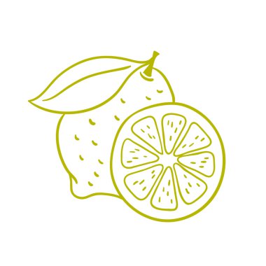 Limon. Retro gravür tarzı. Vektör el çizimi