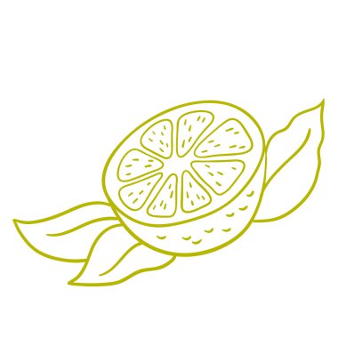 Limon. Retro gravür tarzı. Vektör el çizimi