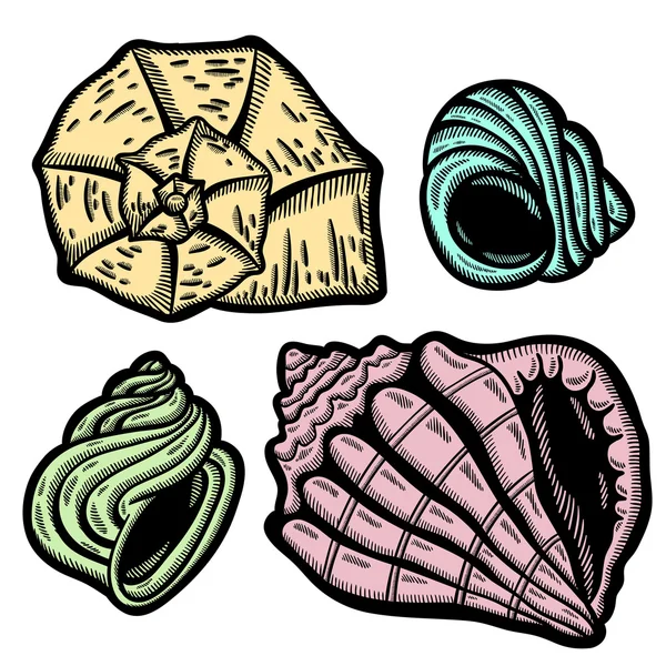 Grafische Muscheln. isolierte Objekte auf weißem Hintergrund. Retro-Stil. — Stockvektor