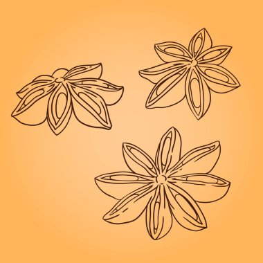 Kakule. Hat sanatı. Doodle illüstrasyon. Yalıtılmış nesne