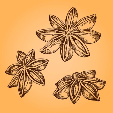 Kakuleden resimde kümesi. Retro gravür tarzı. Doodle illüstrasyon. Yalıtılmış nesne