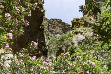 Kelebekler Vadisi Ölüdeniz Türkiye'de yakın