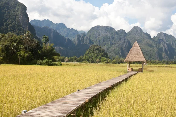 Güzel pirinç tarlaları ve Vang Vieng, Laos dağlarda — Stok fotoğraf