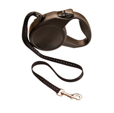 Beyaz arka plan üzerinde izole köpek Retractable kira kontratı 