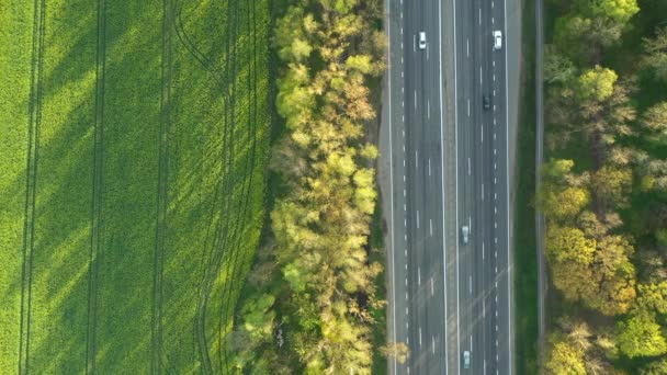 Verkehr Auf Der Autobahn Durch Tiefen Wald Luftaufnahme — Stockvideo