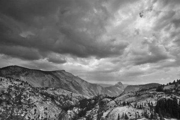 Tioga Road Ліцензійні Стокові Фото