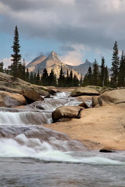 Tioga Road Imagen De Stock