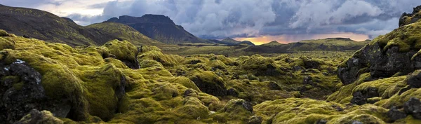Paisaje surrealista con musgo lanudo al atardecer en Islandia Imagen De Stock