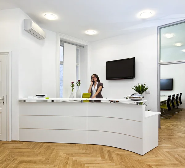 Alegre recepção senhora fazendo seu trabalho com paixão — Fotografia de Stock