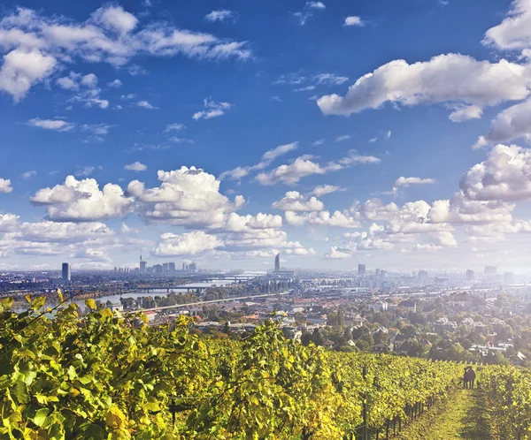 Blick auf die Donau und die Skyline von Wien — Stockfoto