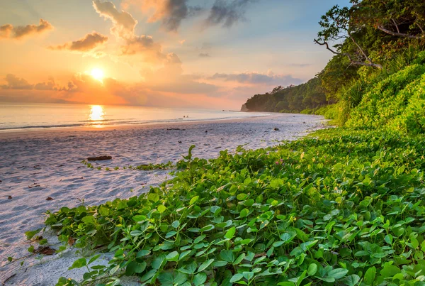 Sonnenuntergang am Strand von Radhanagar Stockbild