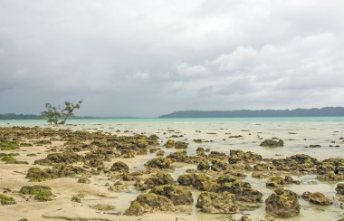 Vijay Nagar beach Andaman