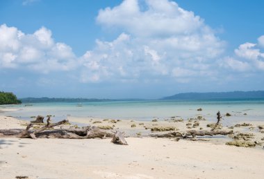 Bozulmamış Vijaynagar kumsalda Havelock ada, Andman ve Nicobar, Hindistan 