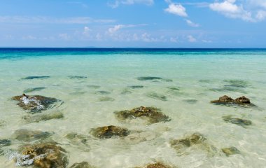 Havelock, Andaman ve Nicobar Hindistan fil plajda batık mercan kayaları suyla temizleyin 