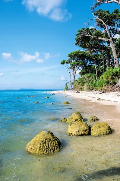 stock image laxmapur Beach in Andaman, India