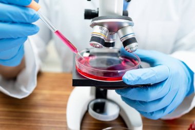 Laboratuvarda mikroskopla çalışan Asyalı biyokimyacı ya da mikrobiyolog. Coronavirus salgınını korumak için. Covid19, bakteri ve mikroplar..