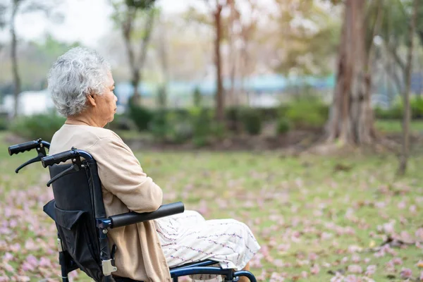 亚洲老年老年妇女患者坐轮椅在公园 健康有力的医疗理念 — 图库照片