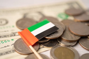 ABD banknotlarının arka planında BAE ve Birleşik Arap Emirlikleri bayrağı bulunan bozuk para yığını.